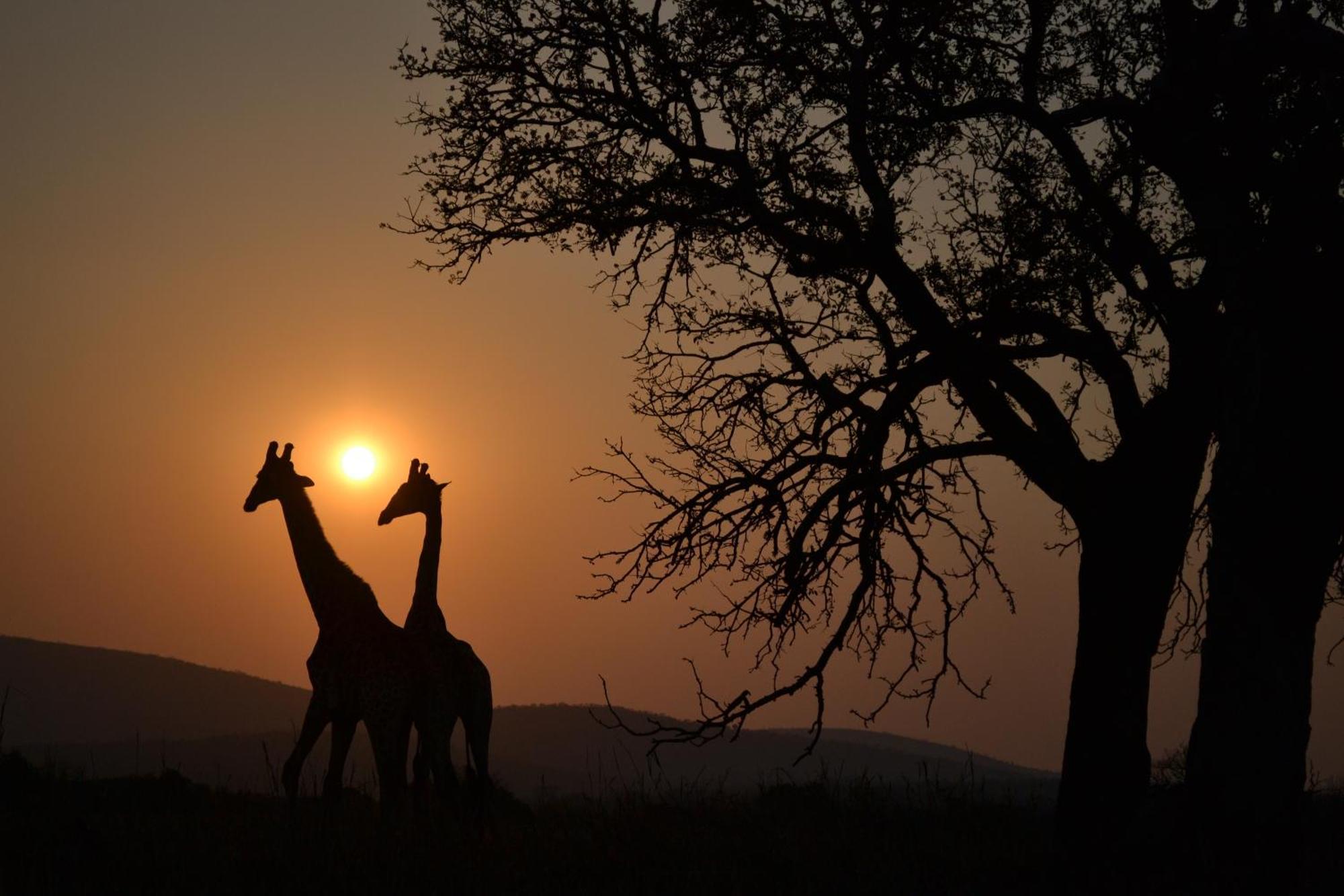 Leopard Mountain Safari Lodge Manyoni Private Game Reserve Esterno foto